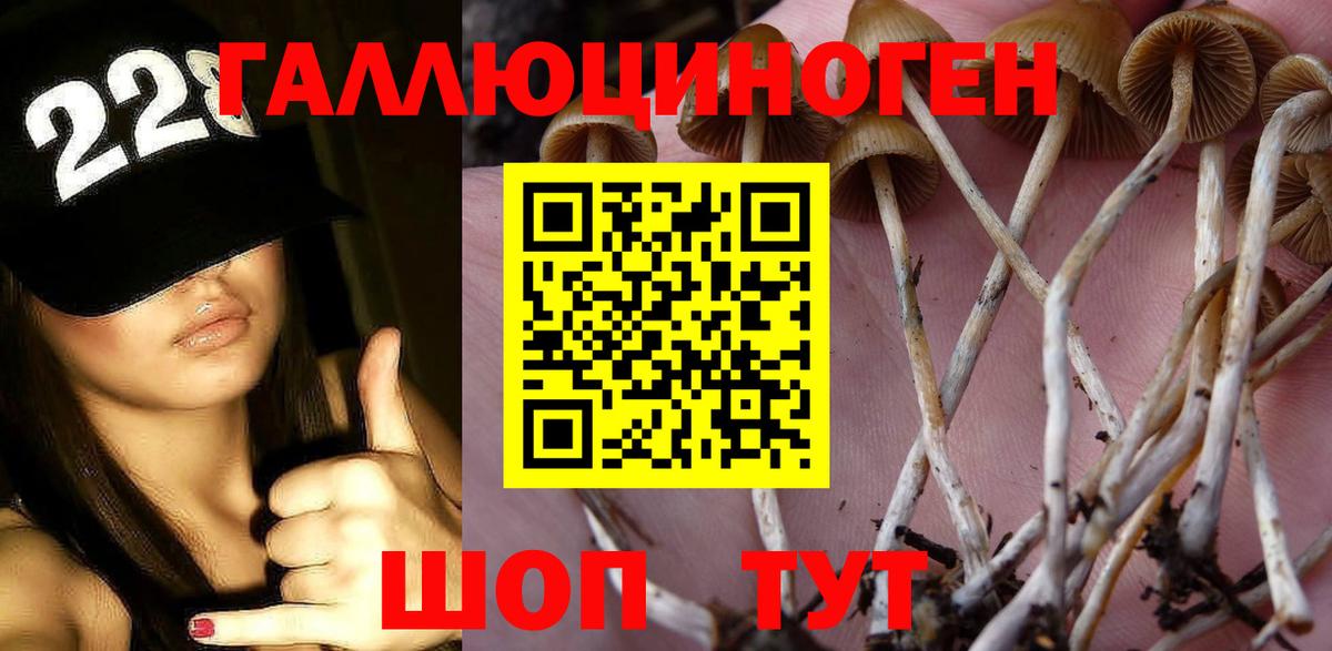 Псилоцибиновые грибы мухоморы  Вход с VPN  Нарткала  Галлюциногенные грибы Cubensis 